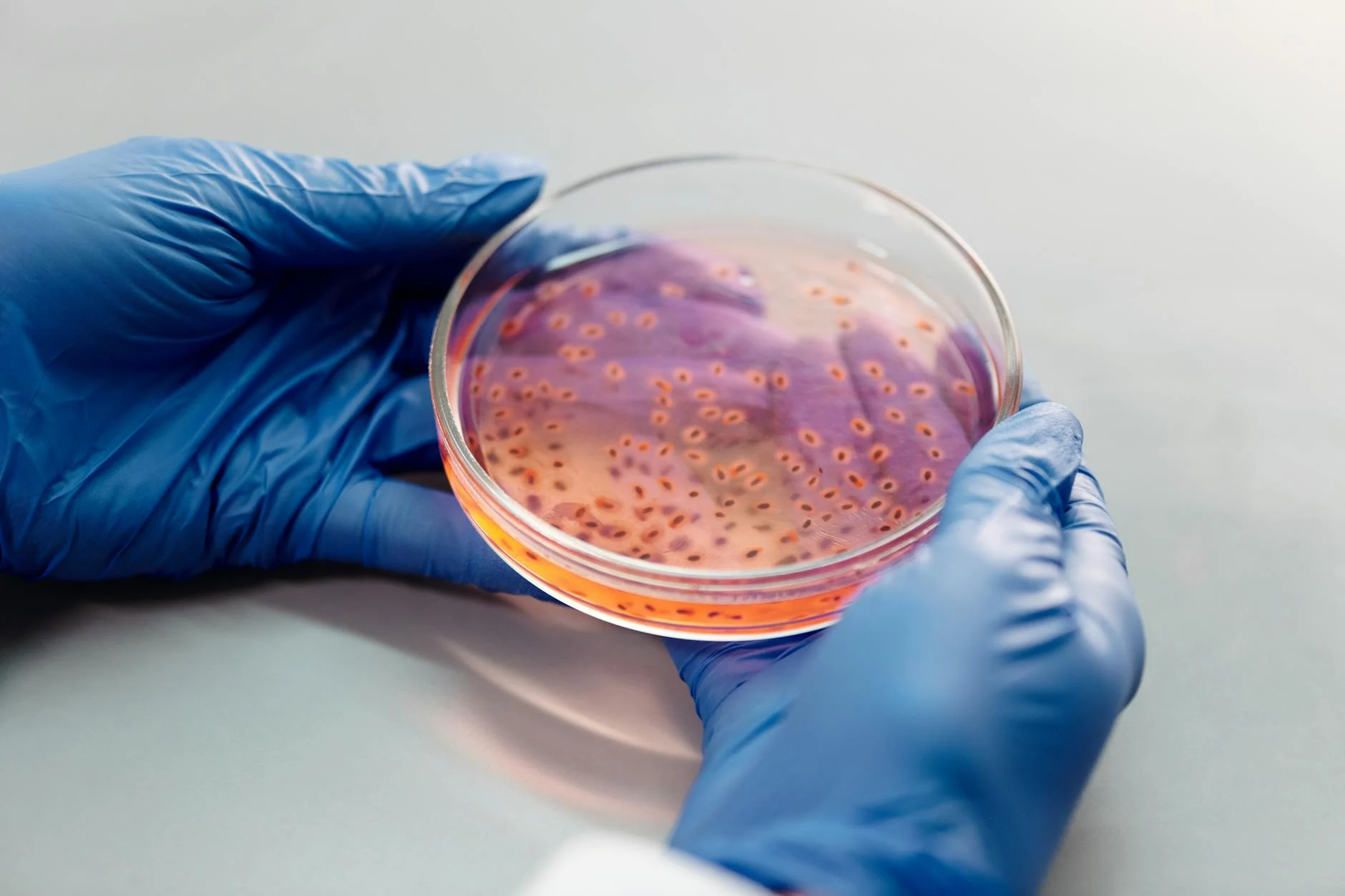 Optimalisasi Ruang Kecil Agar Tetap Cantik Dan Menawan