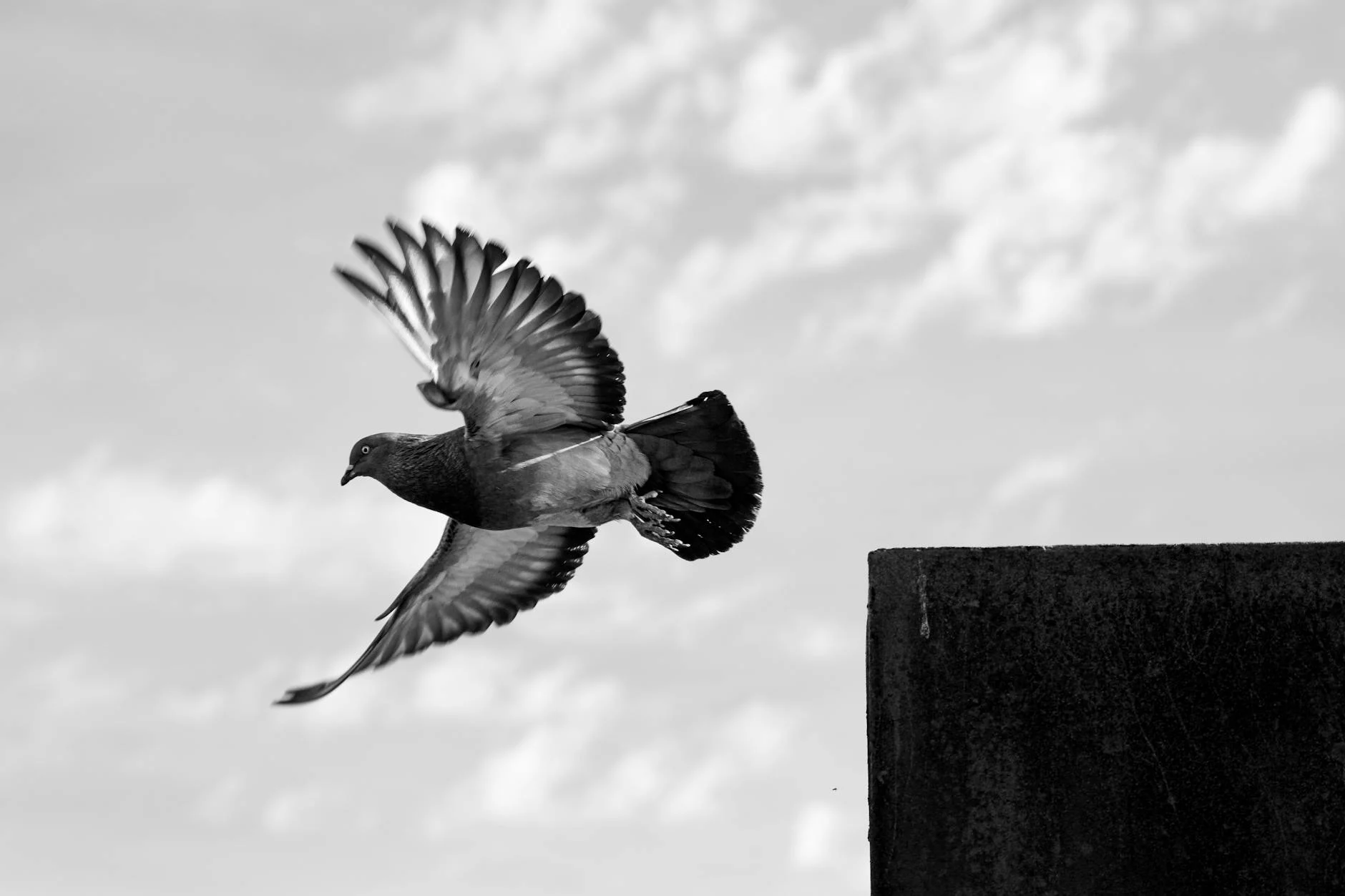 Tips Memilih Proyek Rumah Tanpa DP Free Biaya KPR Yang Tepat